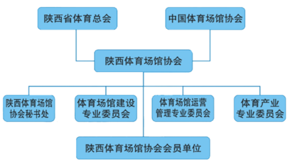 陕西省体育场馆协会领导班子 以专业管理赋能场馆高质量发展